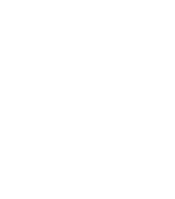 Dunlop Logo